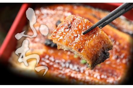 国産 活うなぎ蒲焼 約270g×1尾 [A-124002] 