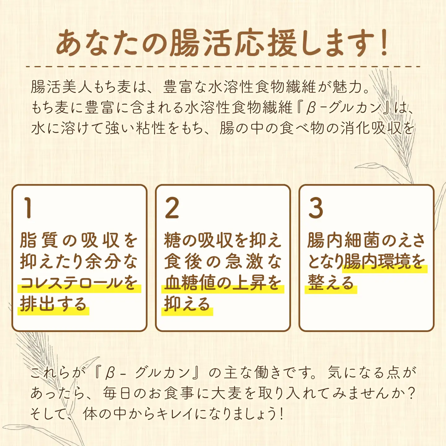 腸活美人 福井産六条大麦もち麦 5個セット [A-034003] 