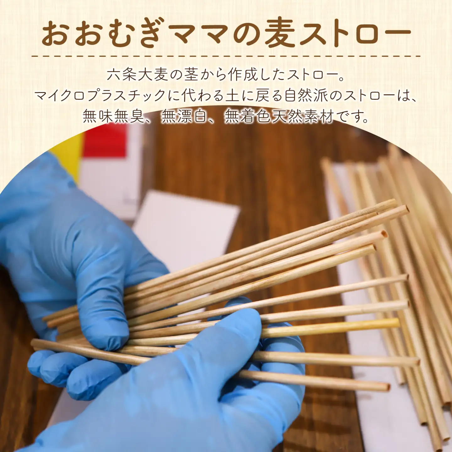 福井産六条大麦そのまま食べられる麦茶とおおむぎママの麦ストローR★環境配慮商品★ [A-034002] 