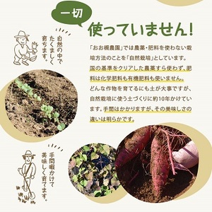 【12ヶ月定期便】百笑オーガニック野菜セット（8～10品目）（KAG-29）