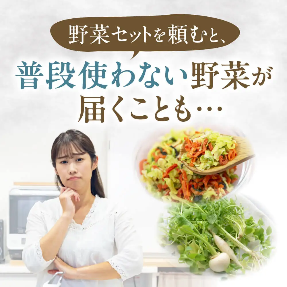 東近江市産 野菜セット JAグリーン近江 滋賀県 東近江市 A14 新鮮 旬 詰め合わせ 産地直送 有機野菜 厳選 お取り寄せ