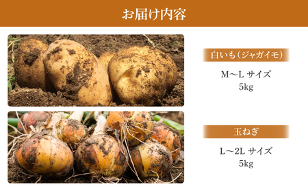 白いも(M～Lサイズ）と玉ねぎ（L～2Lサイズ）各5kg｜じゃがいも【数量限定】詰め合わせ※2026年8月下旬～10月下旬に順次発送予定※着日指定不可