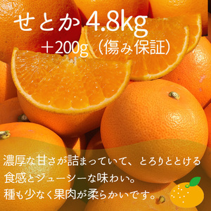 【2026年12月上旬頃から順次発送】【定期便 全3回】旬の愛媛三大高級柑橘 家庭用 愛果28号 せとか 甘平 | 柑橘 みかん 果物 くだもの フルーツ おすすめ 高級 人気 お取り寄せ グルメ ギフト 期間限定 数量限定 ご当地 愛媛県 松山市【SU0082】