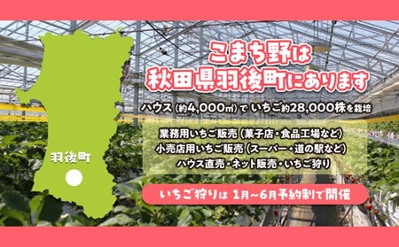 冷凍いちご 秋田県産 冷凍いちご【1kg(500g×2)】【冷凍】