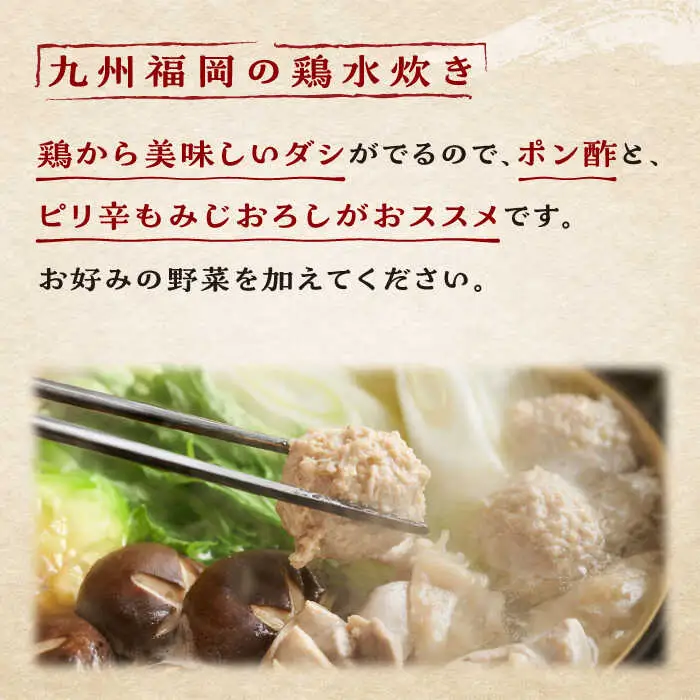 【全6回定期便】九州産ハーブ鶏 水炊き鍋2人前×2セット（計4人前）米粉麺 [ABCJ130]