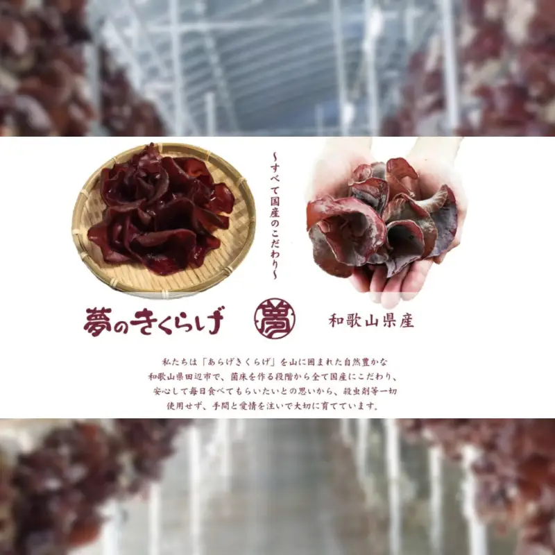 乾燥あらげきくらげ（スライス） 18ｇ×2パック / 田辺市 きくらげ 乾燥 天然 無添加 栄養豊富 中華料理 サラダ【fzn010】