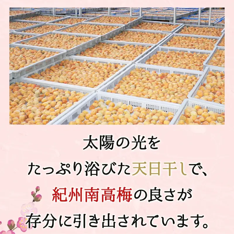 そのまんま白干梅 A級品 計1kg（250g×4個） / 梅干し 梅干 梅 和歌山 和歌山県産 田辺市 紀州南高梅 南高梅 白干し梅 無添加 しょっぱい梅干し 昔ながらの梅干し なつかしい A級【kfo007-1】