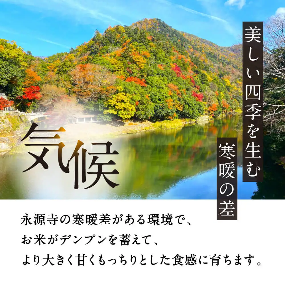 近江永源寺米コシヒカリ 株式会社カネキチ 滋賀県 東近江市 C-D31 米 コシヒカリ 10kg 滋賀県産 白米 精米 産地直送 永源寺 お米