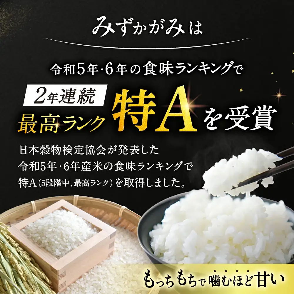 パックご飯 みずかがみ レトルトご飯 200g×36個 米 お米 簡単 白米 レンジ パックライス ごはんパック B02 JAグリーン近江 東近江 ご飯 ご飯パック パック レトルト