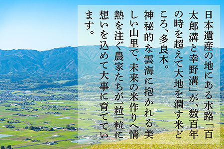 【定期便 毎月発送 全12回】 ＜ R5年産先行予約 ＞ 多良木町産 こめたらぎ にこまる 10kg × 12ヶ月 合計120kg 【 白米 精米 熊本県 多良木町 自然 豊か グランプリ 農家 多良木のびる 】 044-0585-a 