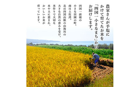 ★令和6年産 田野米  10kg（5kg×2袋）～精米・白米～