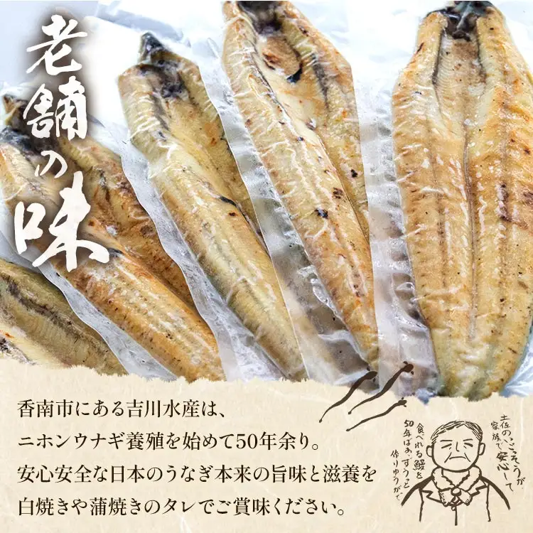 高知県産うなぎ 白焼き 150～180ｇ 6尾 白焼き yw-0118