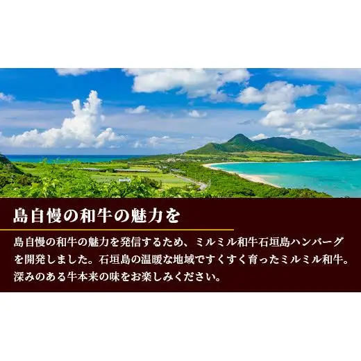 ミルミル和牛 石垣島ハンバーグ 10個入り（合計1.5kg） Z-5