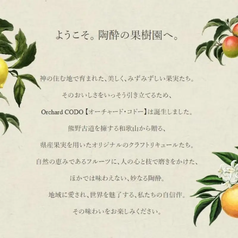 Orchard CODO 3本ギフトセット2（梅とエルダーの芳醇スパークリング 3本） / 和歌山 田辺市 梅干し 梅干 梅 うめ 酒 レモン みかん 夏みかん 本格梅酒 選べる  ギフト 贈答品【isg025-2-2】