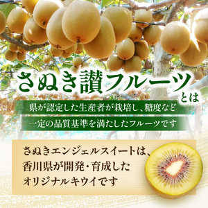 【さぬき讃フルーツ】さぬきエンジェルスイートキウイ 約1kg化粧箱入り