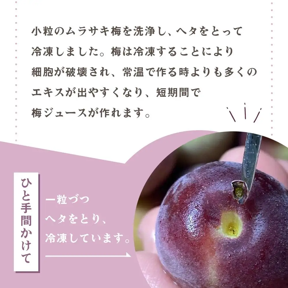 ［数量限定］綺麗な紫色のジュースができます！紀州特産 冷凍紫梅 2kg