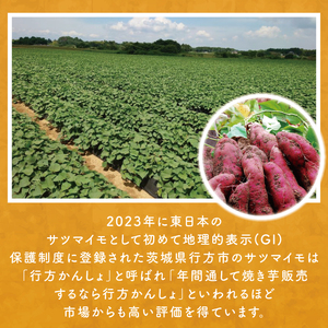 熟成紅はるかの冷凍焼き芋約1.8kg＋おまかせ品種さつまいも　合計約2kg｜さつまいも サツマイモ さつま芋 焼き芋 やきいも 冷凍 冷凍焼き芋 紅はるか 茨城県 行方市(EY-5)