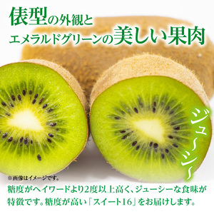 【さぬき讃フルーツ】香緑キウイ(スイート16)約3kg