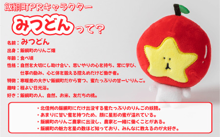 飯綱町PRキャラクター みつどん オリジナル グッズ キーホルダー 沖縄県への配送不可 信州 果物 フルーツ りんご 林檎 長野 飯綱 いいづな 10000円 PR キャラクター 妖精 ゆるキャラ ご当地キャラ お土産 かわいい 雑貨 お楽しみ 長野県 飯綱町 [1705]
