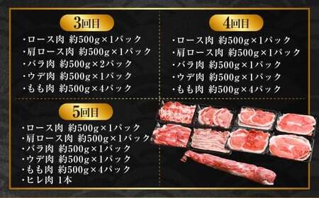 KSR-309 【隔月5回定期便】かごしま黒豚半頭 合計約22.5kg