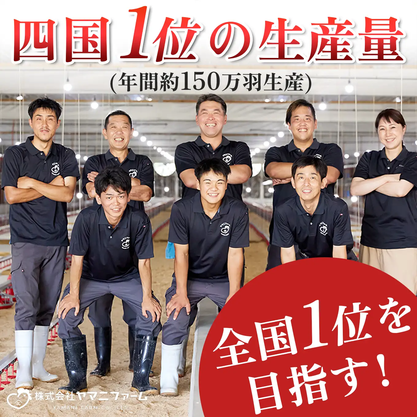 【定期便 12回】よさこい尾鶏 もも肉角切り 900g（300g×3パック）