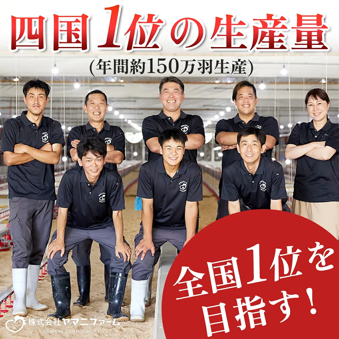 【定期便 4回】よさこい尾鶏 もも肉角切り 定期便1.8kg（300g×6パック）