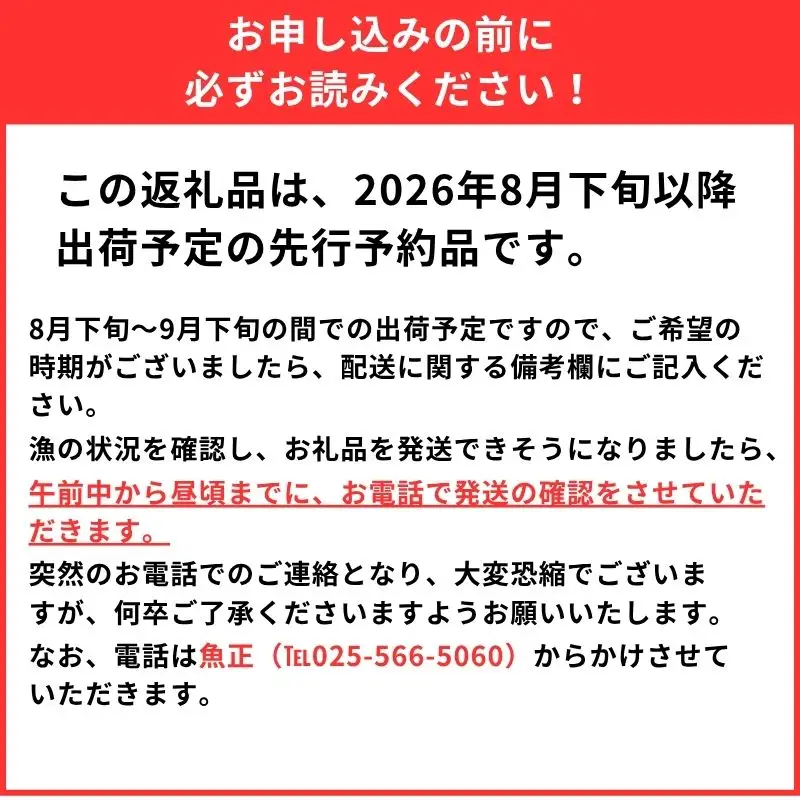 【2026年8月以降発送】天然のどくろ (アカムツ) 3尾 約1kg 先行予約 鮮度抜群！水揚げ直後に発送 高級魚 生 刺身 煮付け 下処理可能 魚正 日本海 刺身 ノドグロ のどぐろ 赤ムツ