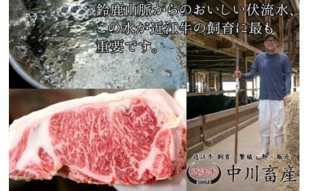 全国肉用牛枝肉共励会最優秀賞受賞中川牧場の近江牛ロースまたは肩ロース800g（株）高島屋洛西店 滋賀県 東近江市 G13 [高島屋選定品] すき焼き しゃぶしゃぶ