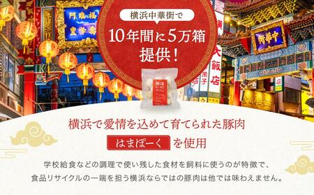 横濱焼小籠包 ４箱（10個入り×４） AAB0002