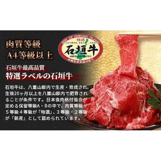 石垣牛 切り落とし スライス (300g×4パック) 計1.2kg　AB-25-1
