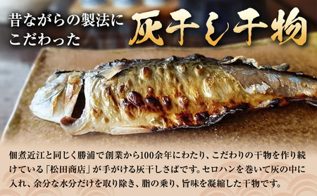 勝浦朝市 昔ながらの製法 逸品の詰合せ「朝市物語」 食塩(新月の煌) 45g×1袋 食塩(満月の刻) 45g×1袋 灰干さば 210g前後×2枚 鰹の佃煮 200g×1袋 まぐろ佃煮 120g×1袋 有限会社 佃煮近江《30日以内に出荷予定(土日祝除く)》【配送不可地域：離島】