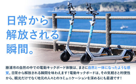 BIRD 電動キックボード 30時間 ライド 無料 ギフトコード 株式会社 Mobilco《30日以内に出荷予定(土日祝除く)》千葉県 勝浦市 電動キックボード 送料無料