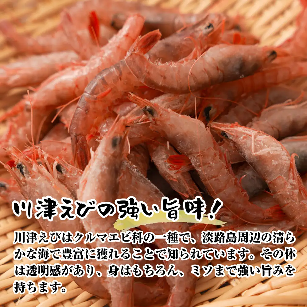 淡路島産 海老の唐揚げ（川津エビ） 1kg