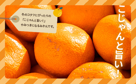 【2026年11月より順次配送】訳あり 早生みかん 約5kg（Lサイズ） みかん be-0115