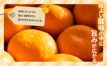 【2026年10月より順次配送】みかん 10kg 極早生 みかん be-0114