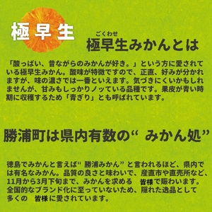 井出農園 訳あり 極早生 初摘みかん 家庭用 S-L混合 10kg