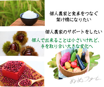 枝豆 丹波黒枝豆 さや 1.5kg 枝豆