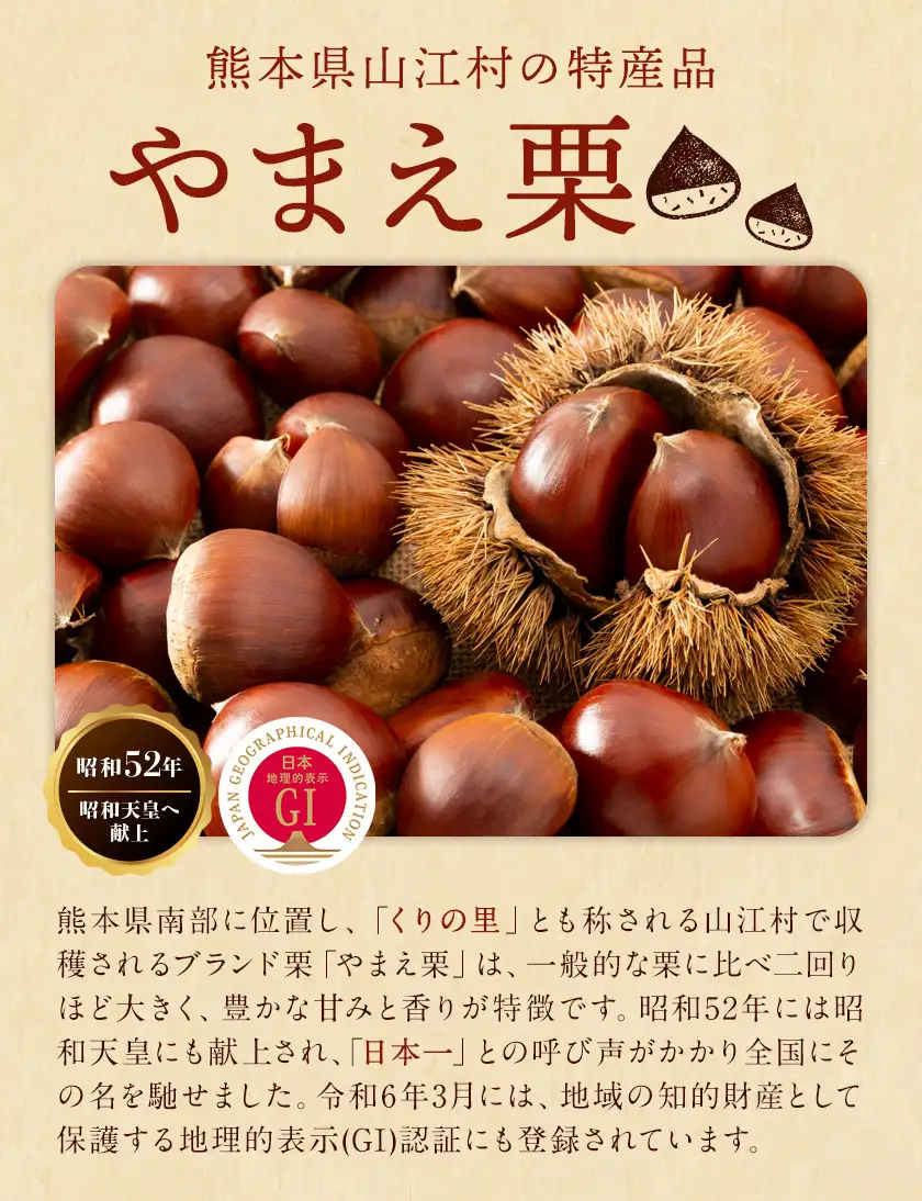 やまえ 栗きんとん 5本 やまえ堂 栗 和菓子