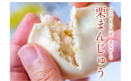 やまえ栗衛門 栗まんじゅう・びっ栗だんご詰め合わせ