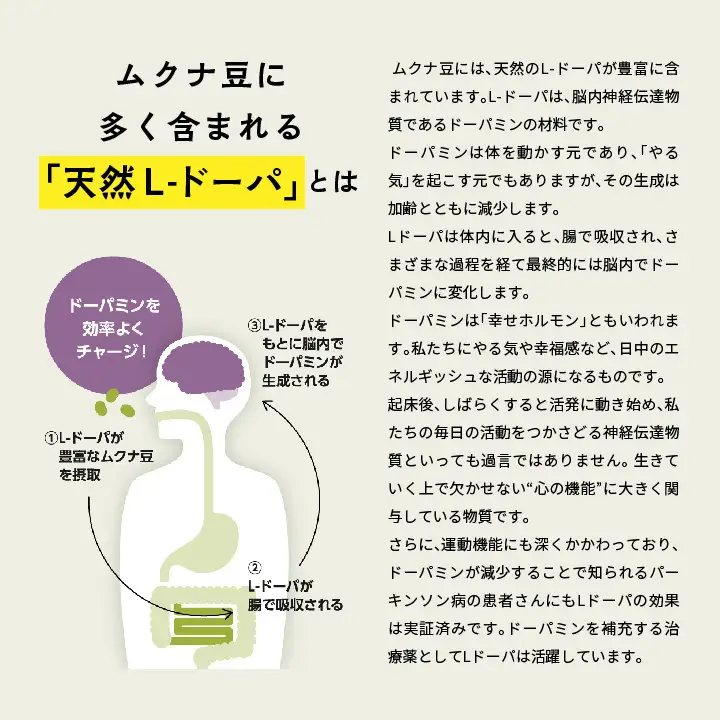 あだたらムクナ豆茶100g×2袋【ADATARAふぁーむ】