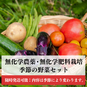 【 定期便 3回 】生命の農法（ 無化学農薬 ・ 無化学肥料栽培 ） 季節 の 野菜 セット | 慈光会自然食品販売所 定期