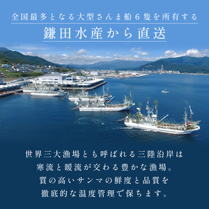 【先行予約】 さんま 1kg 8尾～12尾 冷蔵