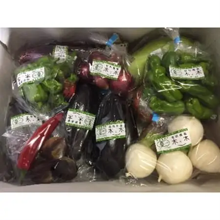 こだわりの”炭素循環農法”で育てた「旬の有機野菜詰合せ」_野菜   _【配送不可地域：離島】【1246834】