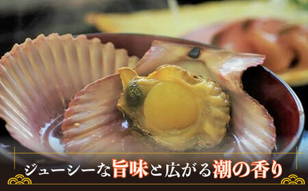 ひおうぎ貝 20枚  海鮮 魚介 貝 BBQ  [WAI085]