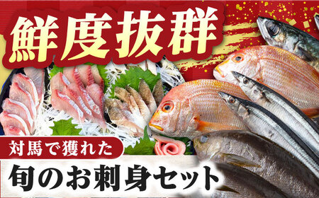 【全12回定期便】対馬 イカ 姿造り と 刺身 の セット 新鮮 海鮮 いか 冷凍 刺身 ケンサキイカ [WAK015]
