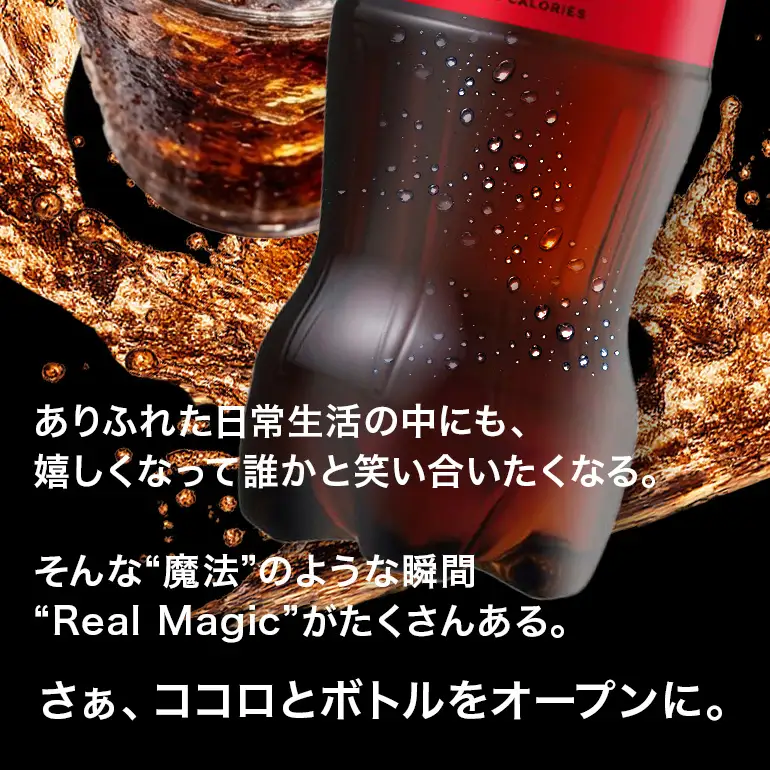 コカ・コーラゼロシュガー　500ml×24本｜コーラ AY06