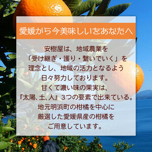 ＜安樹屋 愛媛県明浜産 温州みかん（早生） 約5kg 家庭用＞ 柑橘類 みかん ミカン 果物 フルーツ 安樹屋 愛媛県 西予市 【常温】『2025年11月中旬～11月末迄に順次出荷予定』AYK0003