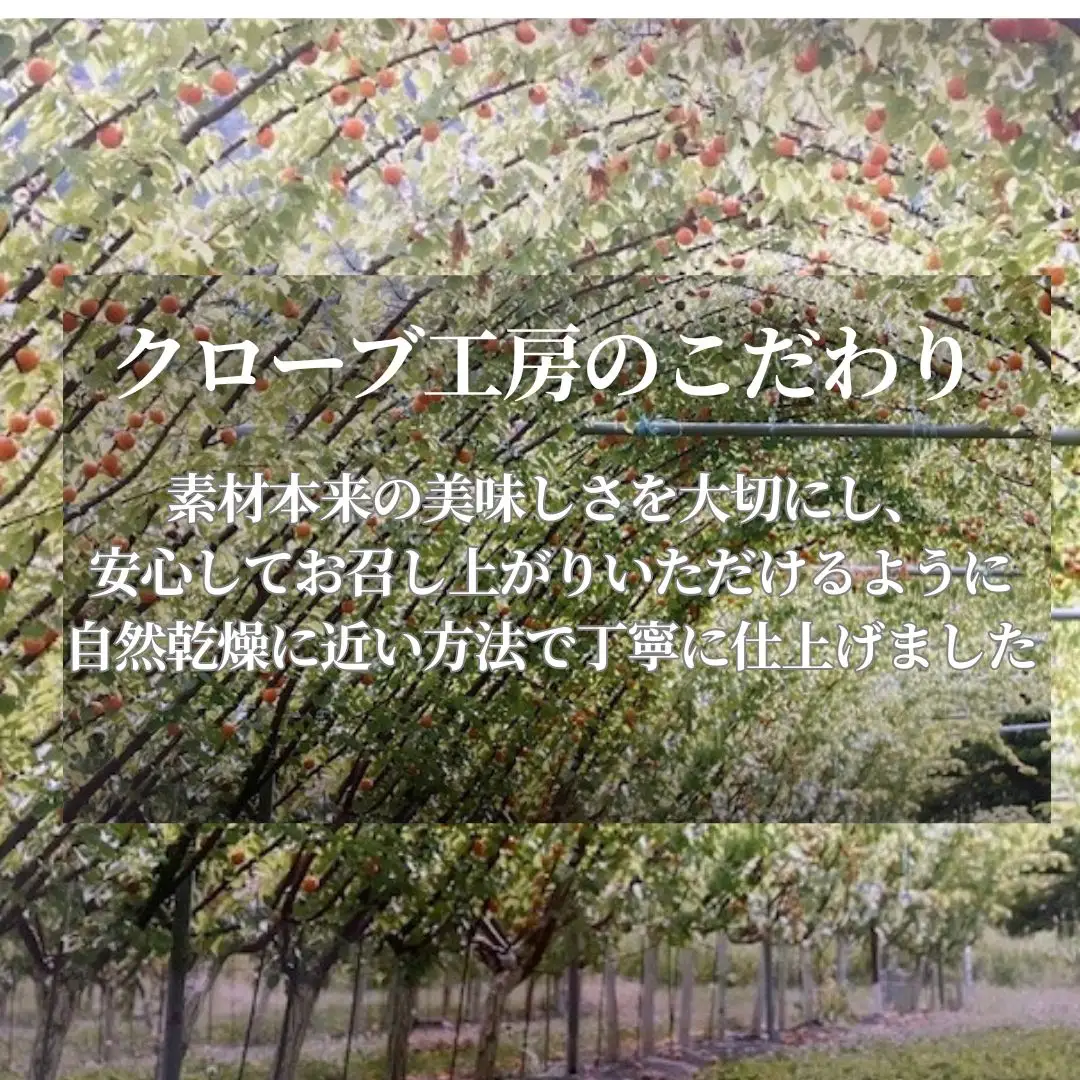 干しあんず 約100g×3袋 ｜ あんず
