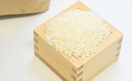 【令和6年産 新米 予約 】お米マイスターが提供　美濃加茂 産 の お米「 ミルキークイーン 」( 10kg )   | 春見ライス 米  M20S38