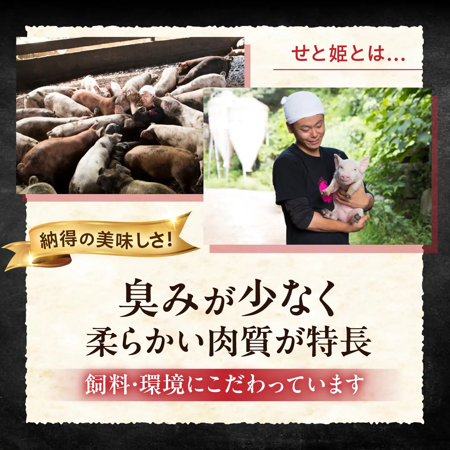豚肉 豚しゃぶセット約1,000g[BAER002] 豚肉 